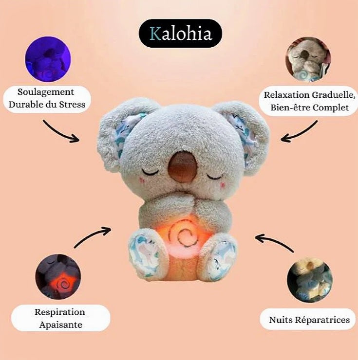 Koala Rilassante  |  Il tuo partner per una serenità interiore